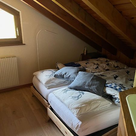 Chalet Les Rhodos Appartement Le Yeti Les Crosets Dış mekan fotoğraf